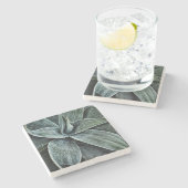 アガベアッテネータ ストーンコースター (横)