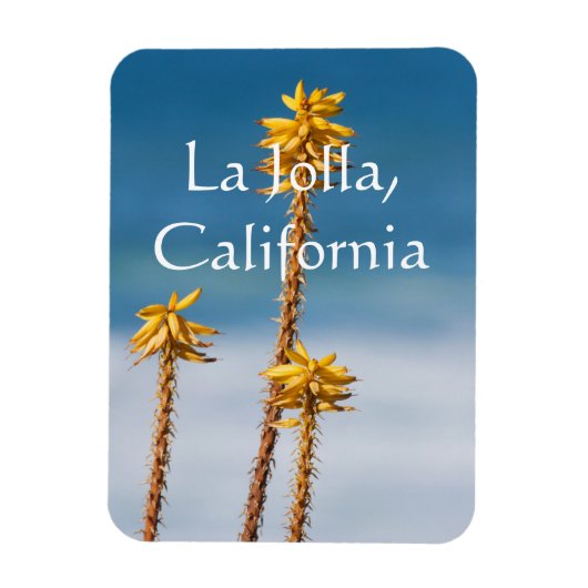 アガベアラジョラ海カリフォルニア マグネット (縦)
