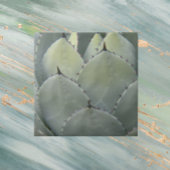 アガベサボテンの植物南西部スタイル タイル