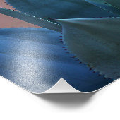 アガベサボテン02 フォトプリント            (角)