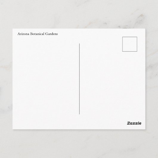 アガベサボハガキ ポストカード (裏面)