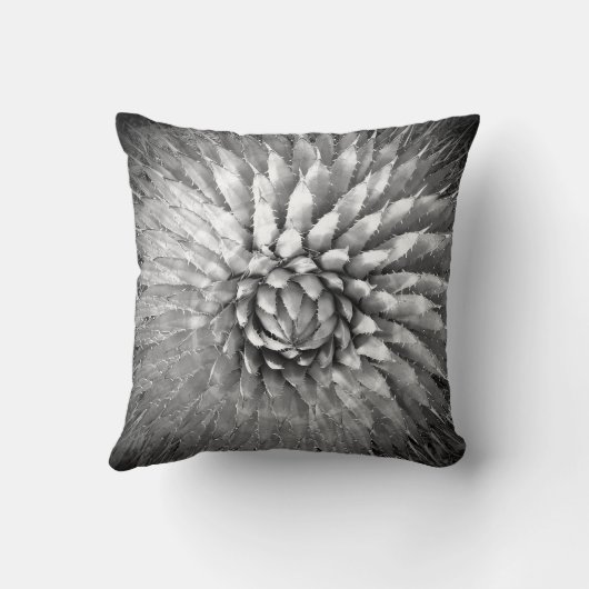 アガベスパイクスサウスウエストブラックアンドホワイトB&Wスクエア クッション (裏面)