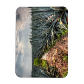 アガベテキラナ マグネット (縦)