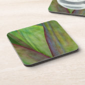 アガベプラント詳細 コースター (左側)