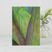 アガベプラント詳細 サンキューカード (スタンド正面)