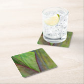 アガベプラント詳細 スクエアペーパーコースター (インサイチュ)