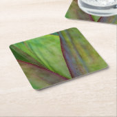 アガベプラント詳細 スクエアペーパーコースター (アングル)