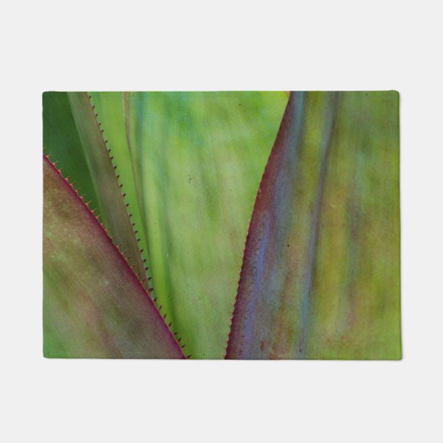 アガベプラント詳細 ドアマット (正面)