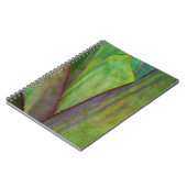 アガベプラント詳細 ノートブック (左側)