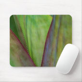 アガベプラント詳細 マウスパッド (マウス)