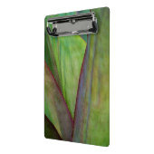 アガベプラント詳細 ミニクリップボード (アングル2)