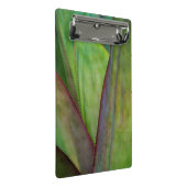 アガベプラント詳細 ミニクリップボード (アングル)