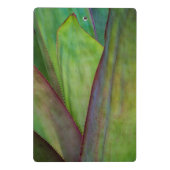 アガベプラント詳細 ミニクリップボード (裏面)