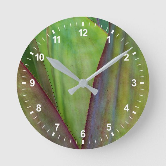 アガベプラント詳細 ラウンド壁時計 (正面)