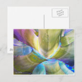 アガベメタリック ポストカード (正面/裏面)