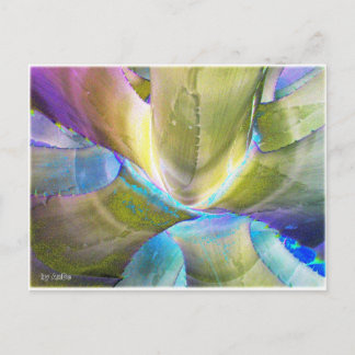 アガベメタリック ポストカード