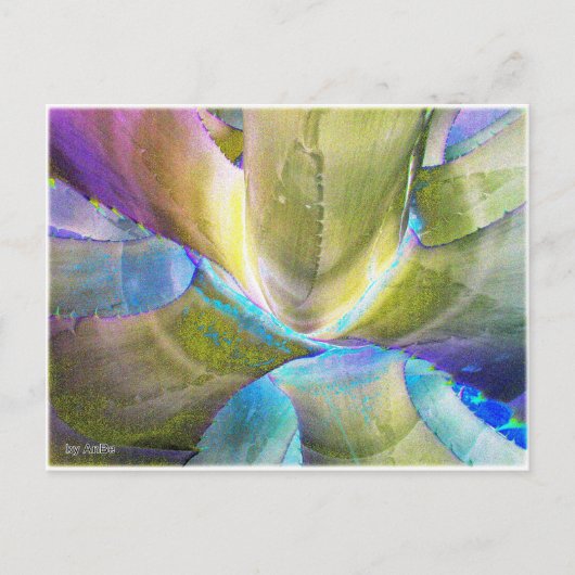 アガベメタリック ポストカード (正面)