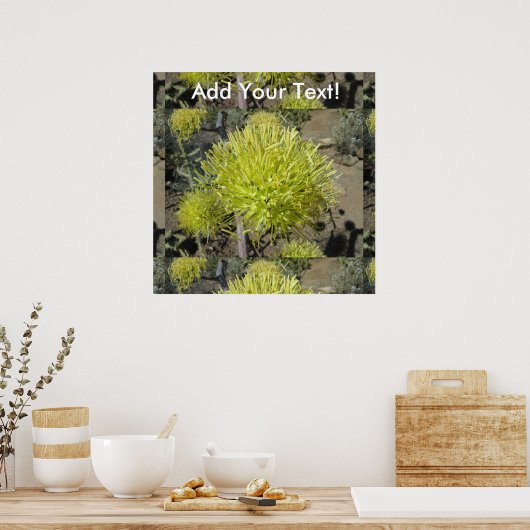 アガベ大花房 ポスター (キッチン)