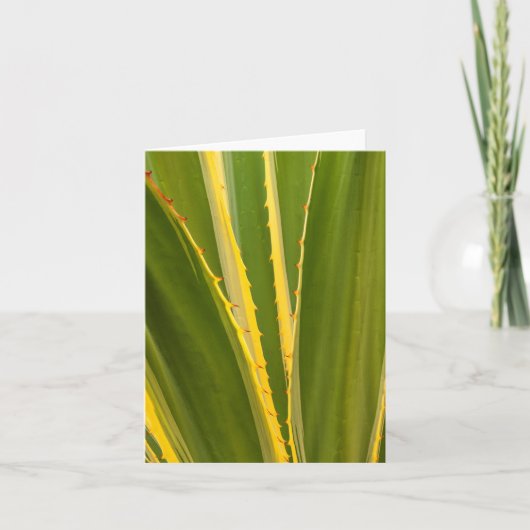 アガベ植物抽象芸術 ノートカード (正面)