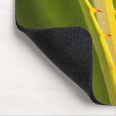 アガベ植物抽象芸術 マウスパッド (コーナー)