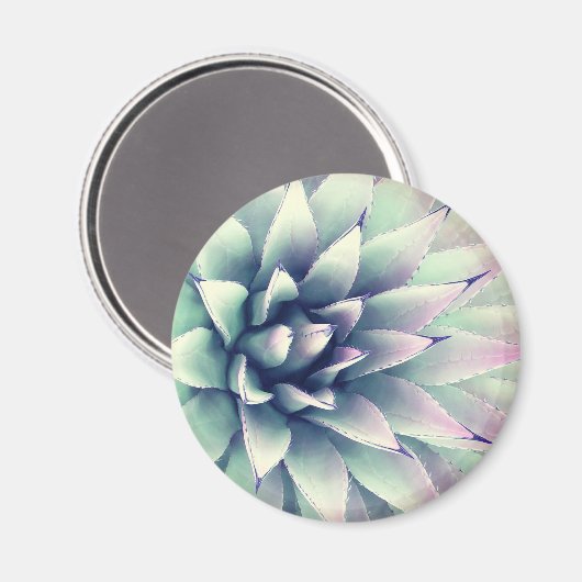 アガベ植物 マグネット (正面/裏面)