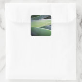 アガベ葉 スクエアシール (バッグ)