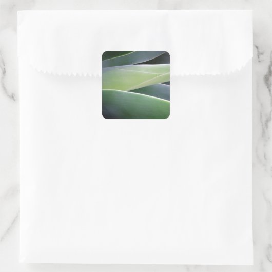 アガベ葉 スクエアシール (バッグ)