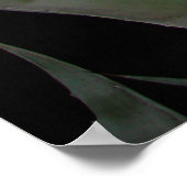 アガベ・サンセット ポスター (角)