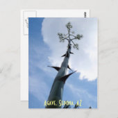 アガベ,セドナ, AZ ポストカード (正面/裏面)