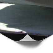 アガベ・パリリのポスター ポスター (角)