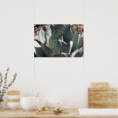 アガベ・パリリのポスター ポスター (キッチン)