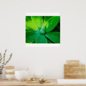 アガベ ポスター (キッチン)