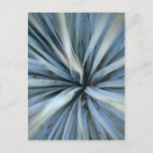 アガベ ポストカード (正面)