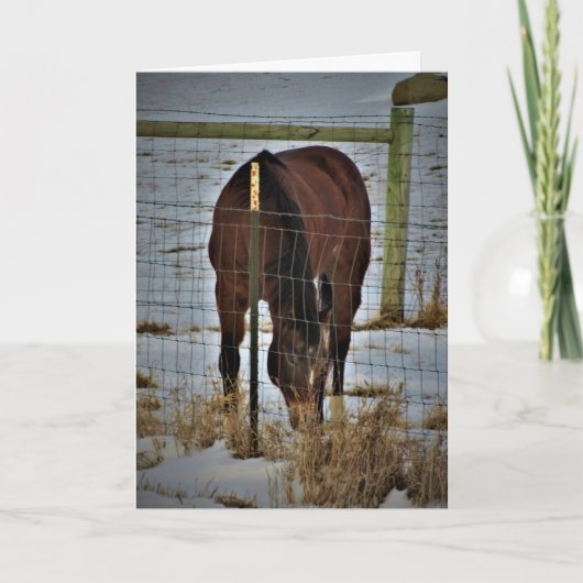 "アガペ・エイカーズ" バースデーカード カード (正面)