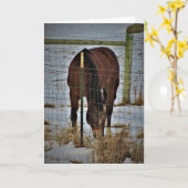 "アガペ エイカーズ" バースデー カード (黄色い花)