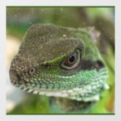 アガマ ウィンドウサイン (シート)