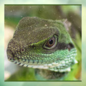 アガマ ウィンドウサイン (シート3)