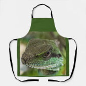 アガマ エプロン (正面)