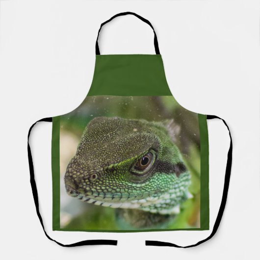 アガマ エプロン (正面)