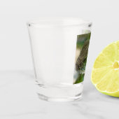 アガマ ショットグラス (左)