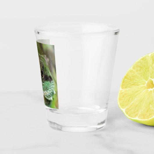 アガマ ショットグラス (右)