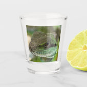 アガマ ショットグラス (正面)