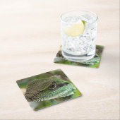 アガマ スクエアペーパーコースター (インサイチュ)