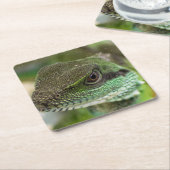 アガマ スクエアペーパーコースター (アングル)