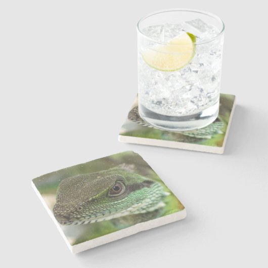 アガマ ストーンコースター (横)