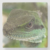 アガマ ストーンコースター (正面)