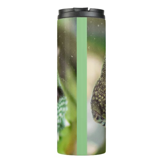 アガマ タンブラー (裏面)