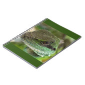 アガマ ノートブック (左側)