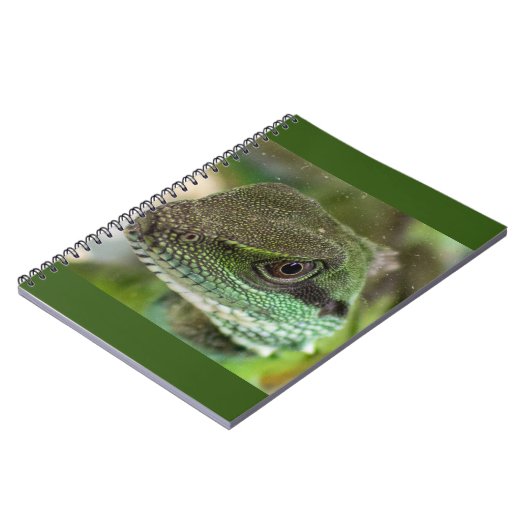 アガマ ノートブック (左側)