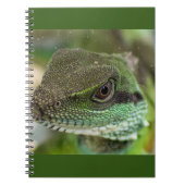 アガマ ノートブック (正面)